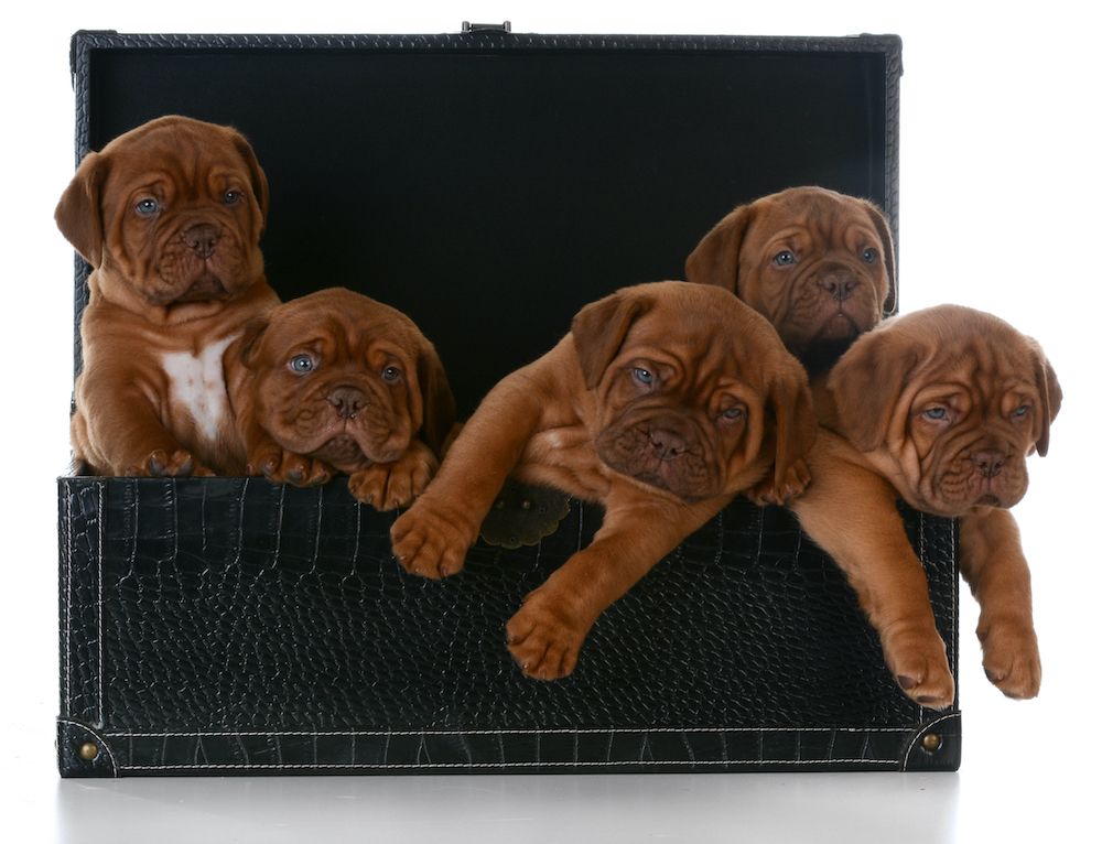 Question of the Week